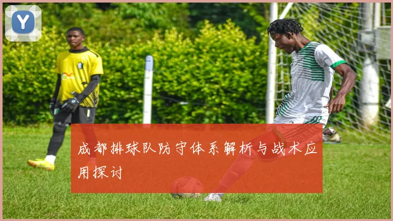 成都排球队防守体系解析与战术应用探讨