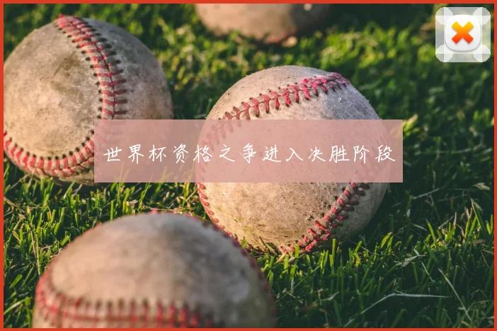 世界杯资格之争进入决胜阶段