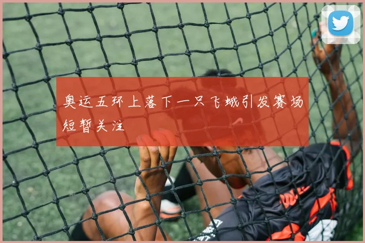 奥运五环上落下一只飞蛾引发赛场短暂关注