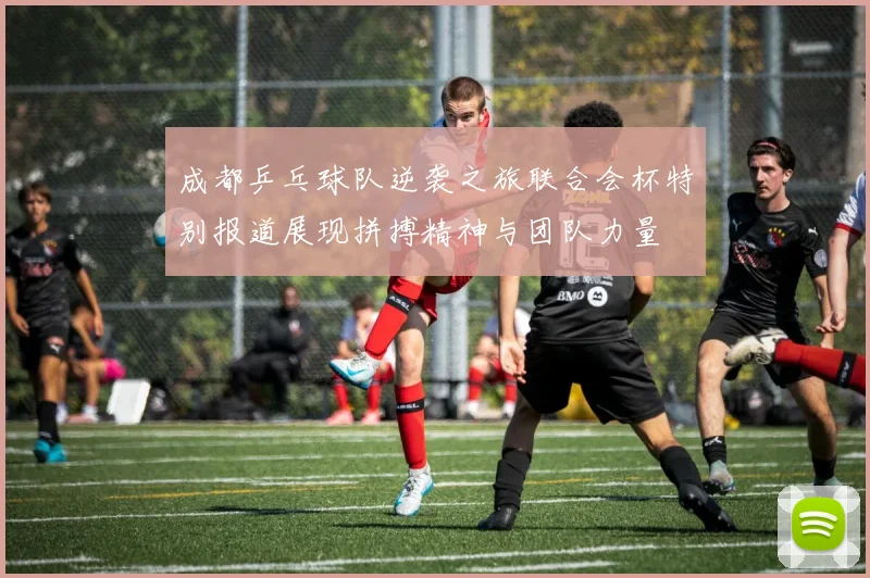 成都乒乓球队逆袭之旅联合会杯特别报道展现拼搏精神与团队力量