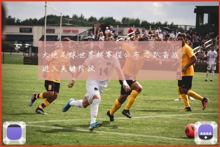大地足球世界杯赛程公布 各队备战进入关键阶段