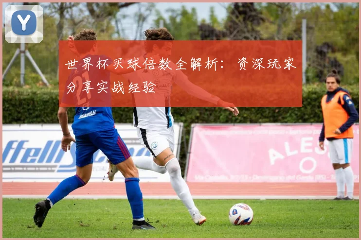 世界杯买球倍数全解析：资深玩家分享实战经验