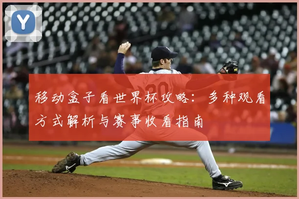 移动盒子看世界杯攻略:多种观看方式解析与赛事收看指南