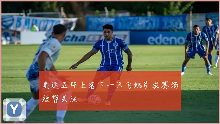 奥运五环上落下一只飞蛾引发赛场短暂关注