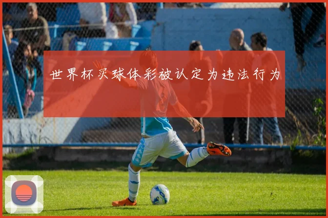 世界杯买球体彩被认定为违法行为