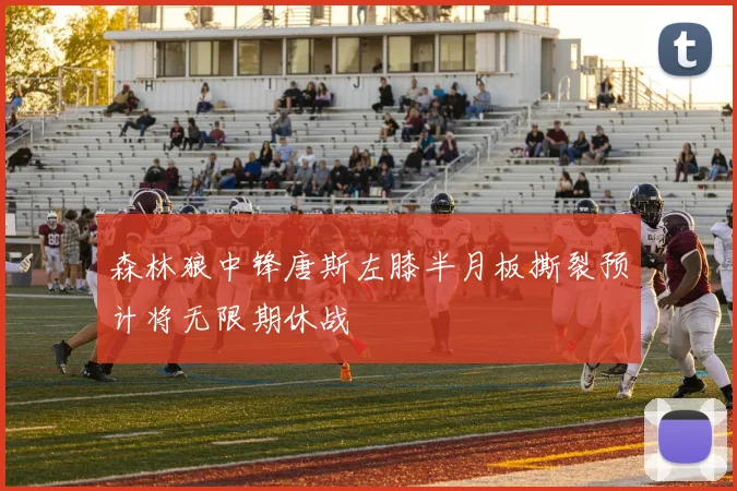 森林狼中锋唐斯左膝半月板撕裂预计将无限期休战