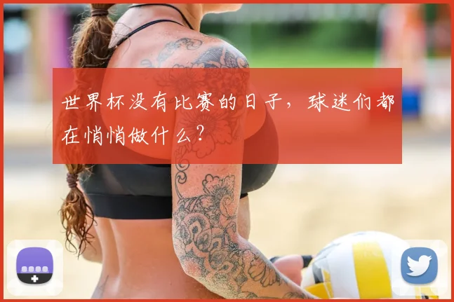 世界杯没有比赛的日子，球迷们都在悄悄做什么？