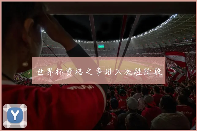 世界杯资格之争进入决胜阶段