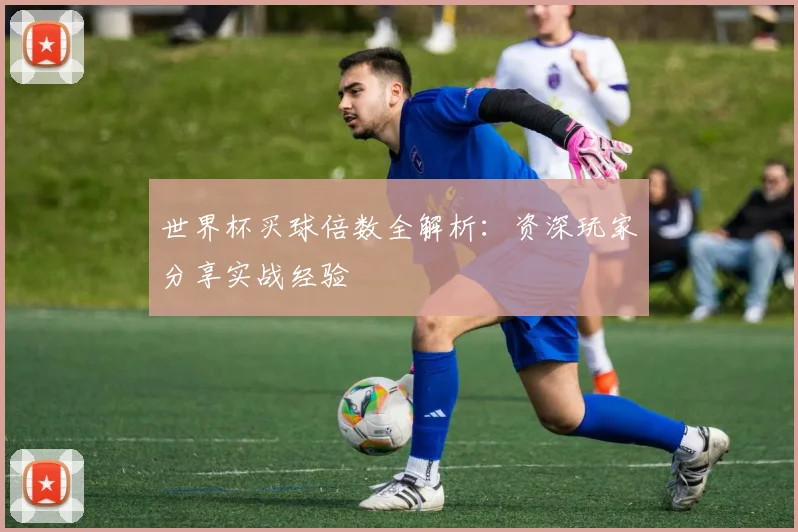 世界杯买球倍数全解析：资深玩家分享实战经验