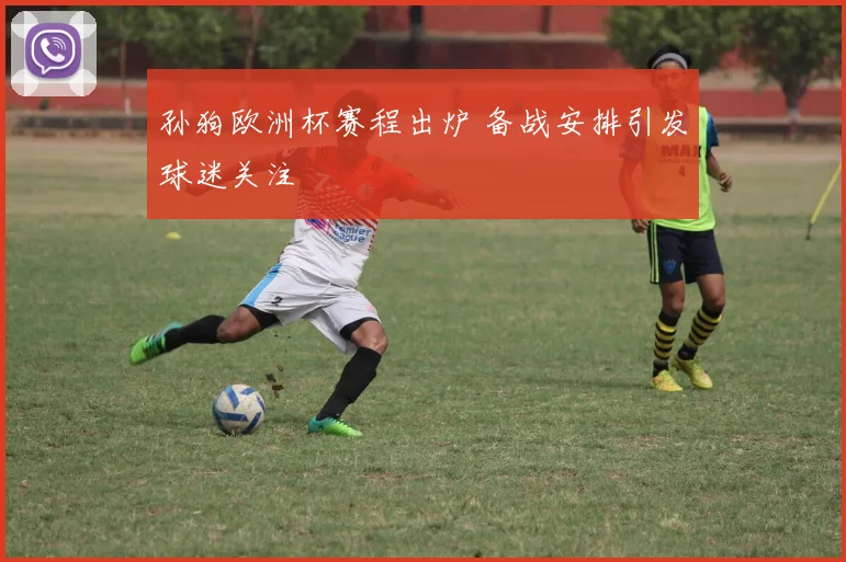 孙狗欧洲杯赛程出炉 备战安排引发球迷关注