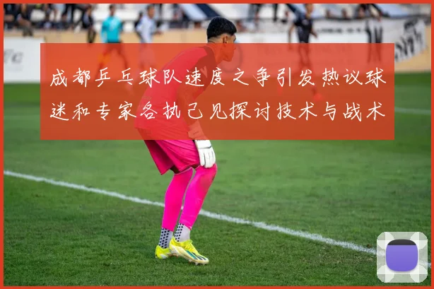 成都乒乓球队速度之争引发热议球迷和专家各执己见探讨技术与战术