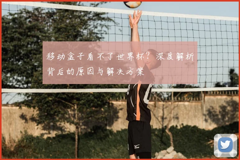 移动盒子看不了世界杯？深度解析背后的原因与解决方案