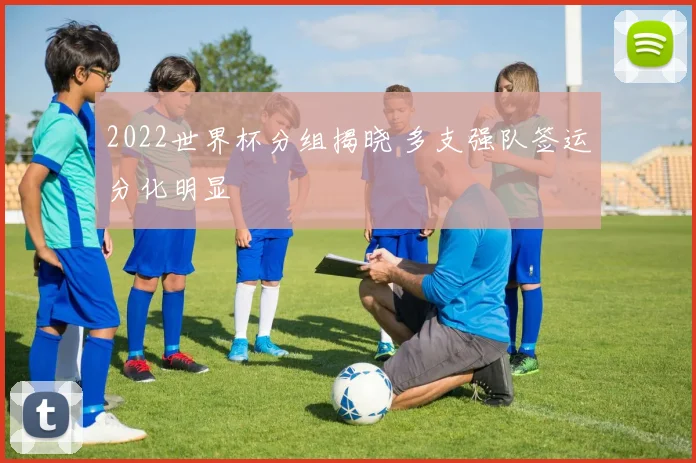 2022世界杯分组揭晓 多支强队签运分化明显