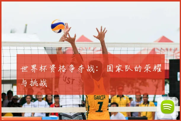 世界杯资格争夺战：国家队的荣耀与挑战
