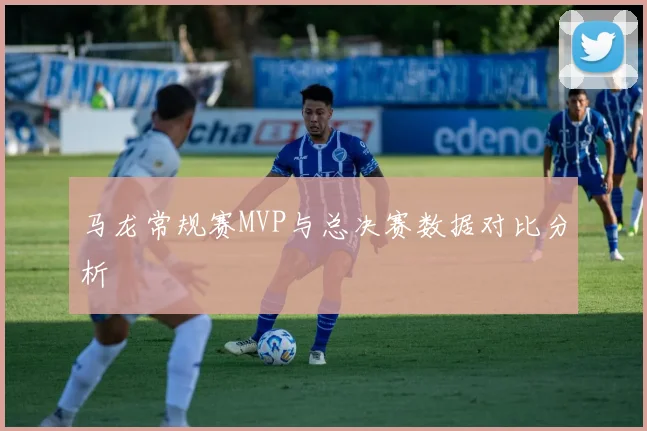 马龙常规赛MVP与总决赛数据对比分析