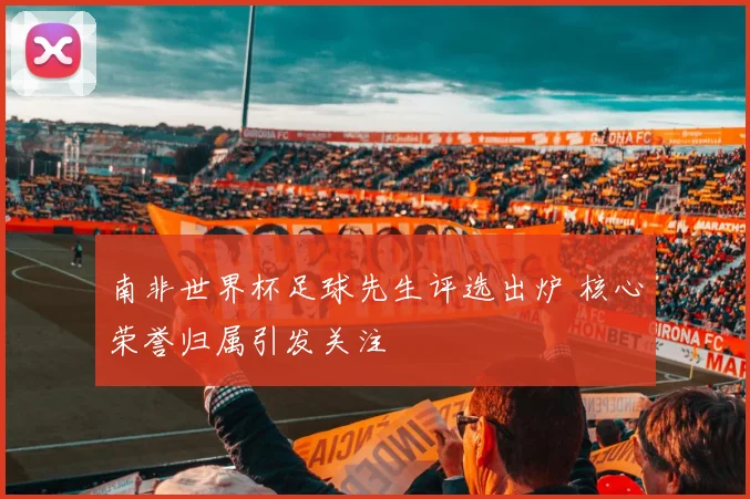 南非世界杯足球先生评选出炉 核心荣誉归属引发关注